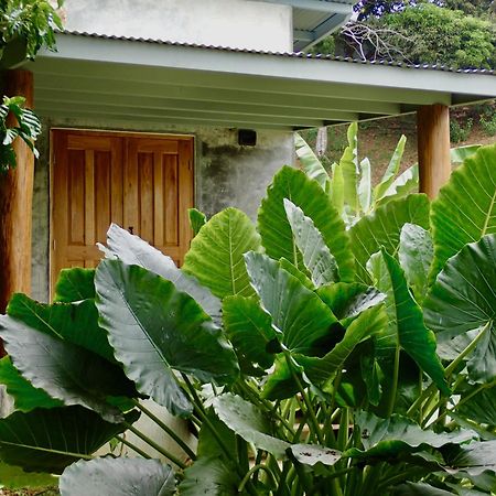Casa Salvaje Vacation Rentals Bocas Town Exterior photo
