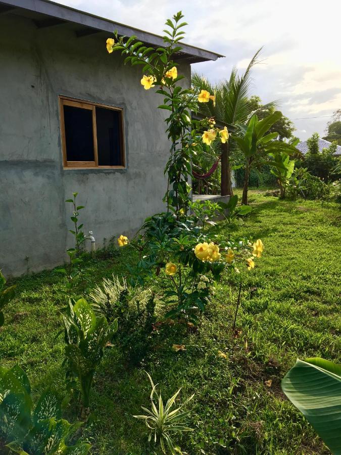 Casa Salvaje Vacation Rentals Bocas Town Exterior photo