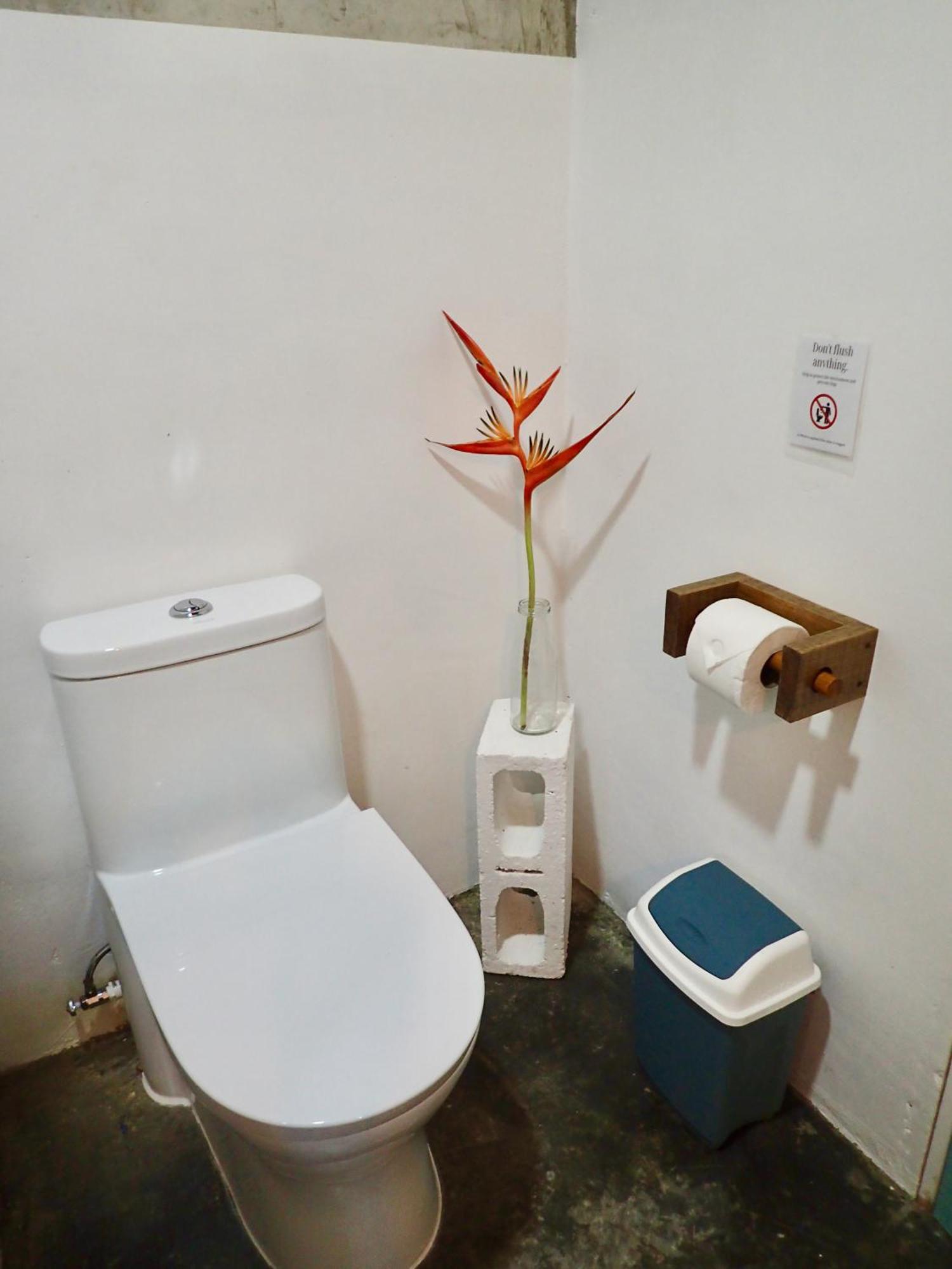 Casa Salvaje Vacation Rentals Bocas Town Exterior photo