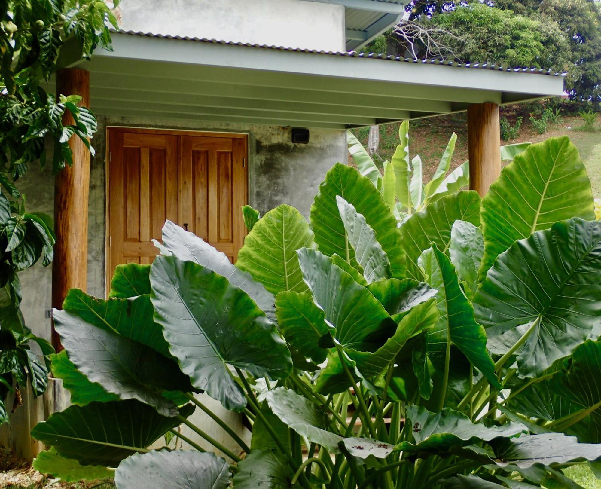 Casa Salvaje Vacation Rentals Bocas Town Exterior photo
