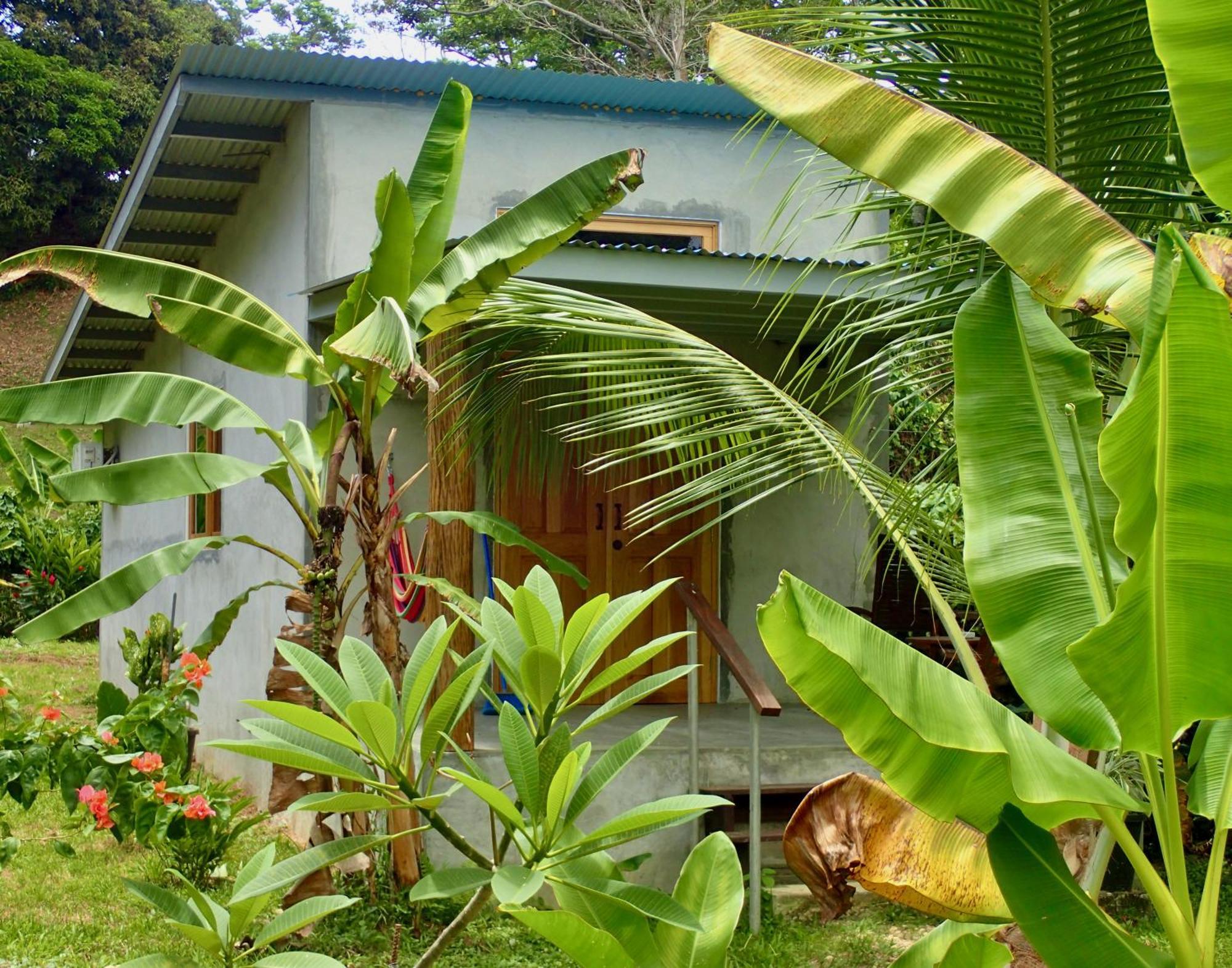 Casa Salvaje Vacation Rentals Bocas Town Exterior photo
